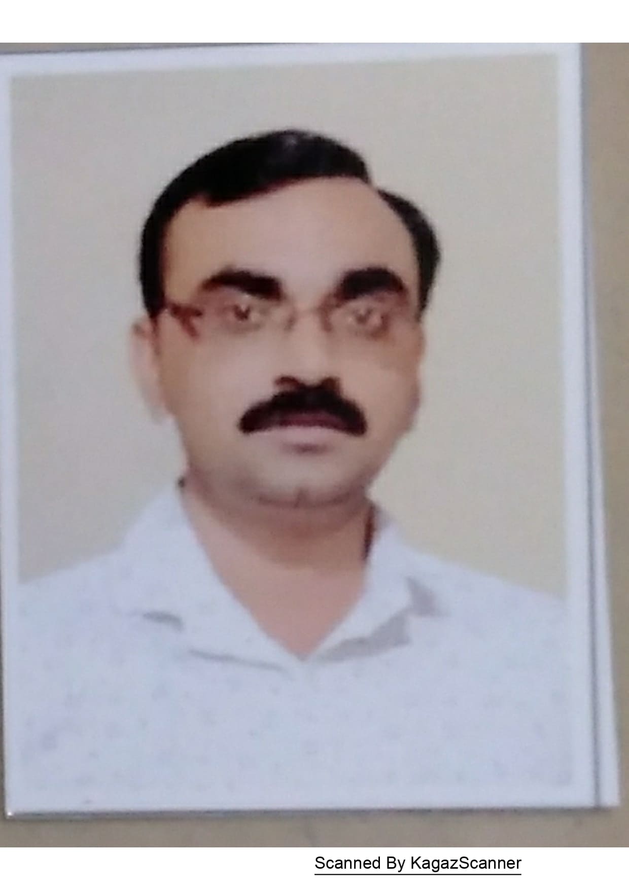 श्री. प्रकाश द. वाडीभस्मे